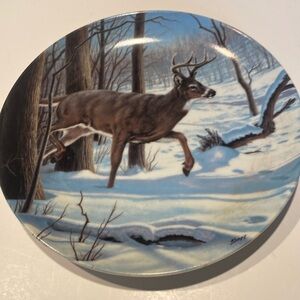 “The White-Tailed Deer”